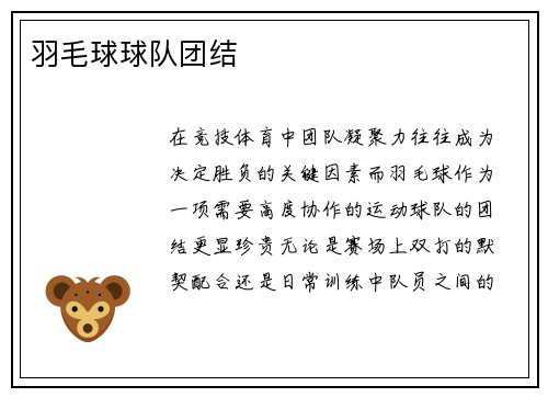 羽毛球球队团结